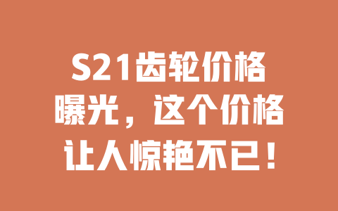 S21齿轮价格曝光,这个价格让人惊艳不已! 二