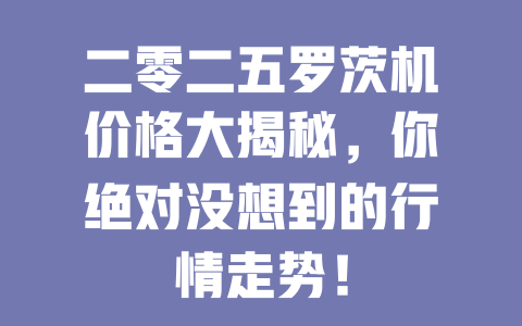 二零二五罗茨机价格大揭秘,你绝对没想到的行情走势! 二